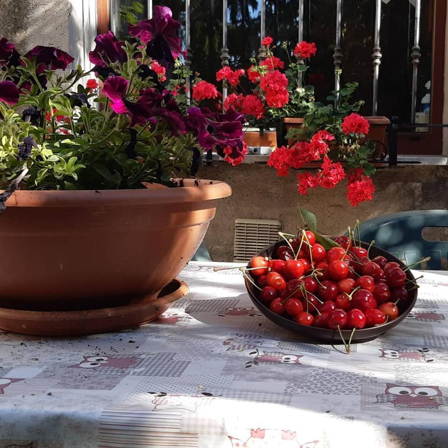 B&B Mamma Ari Fermo Buitenkant foto